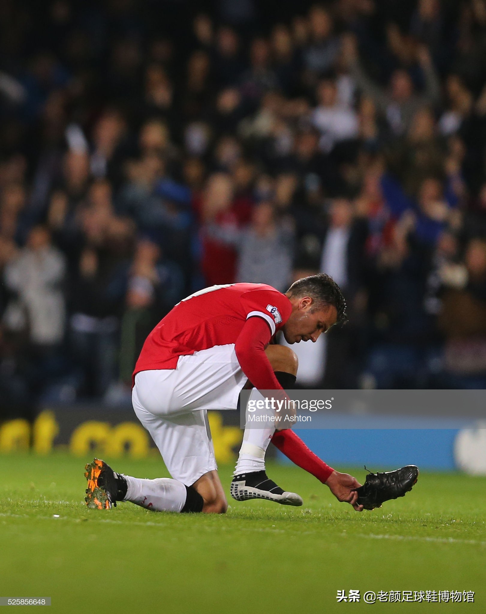 跌宕起伏的 跌宕起伏的